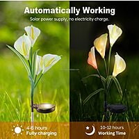 Calla Lily Solar Flower Light - 7 Colour Changing (Pink/White) 2 Packs Calla Lily Solar Flower Light - 7 Colour Changing (Pink/White) 2 Packs