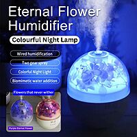 Eternal Flower Humidifier & Colourful Night Lamp