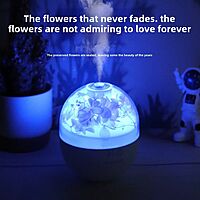 Eternal Flower Humidifier & Colourful Night Lamp