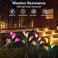 Solar Carlla Lilly Flower 7 Vibrant Multi-Coloured LED light - 2 Pack Special Solar Carlla Lilly Flower 7 Vibrant Multi-Coloured LED light - 2 Pack Special