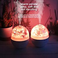 Eternal Flower Humidifier & Colourful Night Lamp