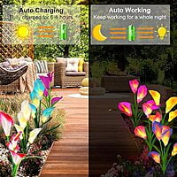Solar Carlla Lilly Flower 7 Vibrant Multi-Coloured LED light - 2 Pack Special Solar Carlla Lilly Flower 7 Vibrant Multi-Coloured LED light - 2 Pack Special