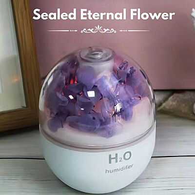 Eternal Flower Humidifier & Colourful Night Lamp