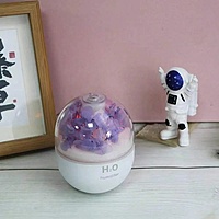 Eternal Flower Humidifier & Colourful Night Lamp